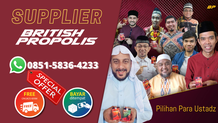 SUPPLIER BRITISH PROPOLIS DI PANDAN | 085158364233 | TERMURAH