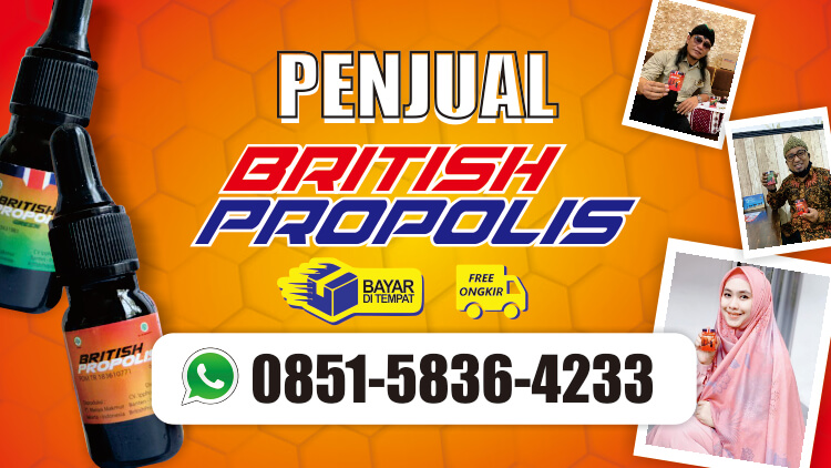 PENJUAL BRITISH PROPOLIS DI PROBOLINGGO | 085158364233 | TERMURAH