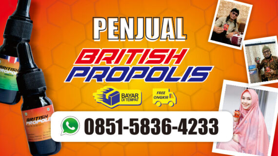 PENJUAL BRITISH PROPOLIS DI SEKITAR SAYA | 085158364233 | TERMURAH