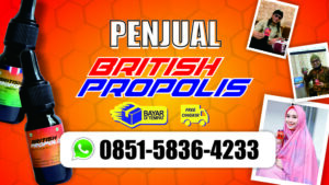 Penjual British Propolis di Waibakul