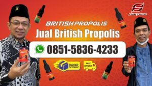 Jual British Propolis di Pidie