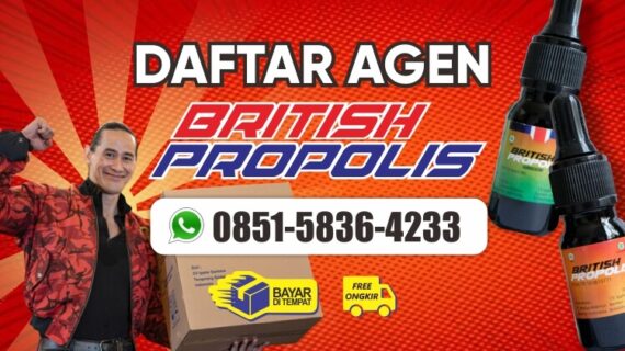 DAFTAR AGEN BRITISH PROPOLIS DI MULIA | 085158364233 | TERPERCAYA