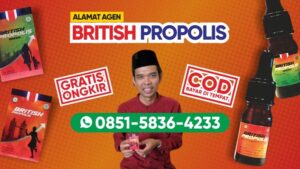 Alamat Agen British Propolis di Singaraja