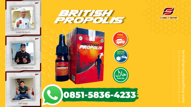 STOKIS BRITISH PROPOLIS DI SINGAPARNA | 085158364233 | TERMURAH