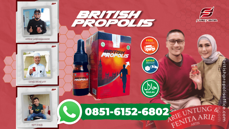 STOKIS BRITISH PROPOLIS DI SUMBERGEDE GRESIK | 085161526802 | TERMURAH