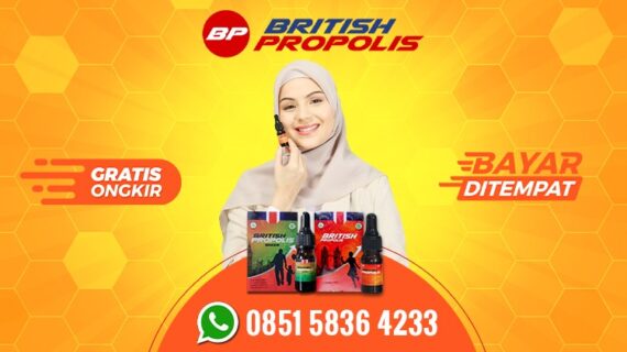 TOKO BRITISH PROPOLIS BULUGLEDEG MAGETAN | 085161526802 | TERMURAH