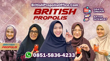 PELUANG USAHA BRITISH PROPOLIS DI KERINCI | 085158364233 |